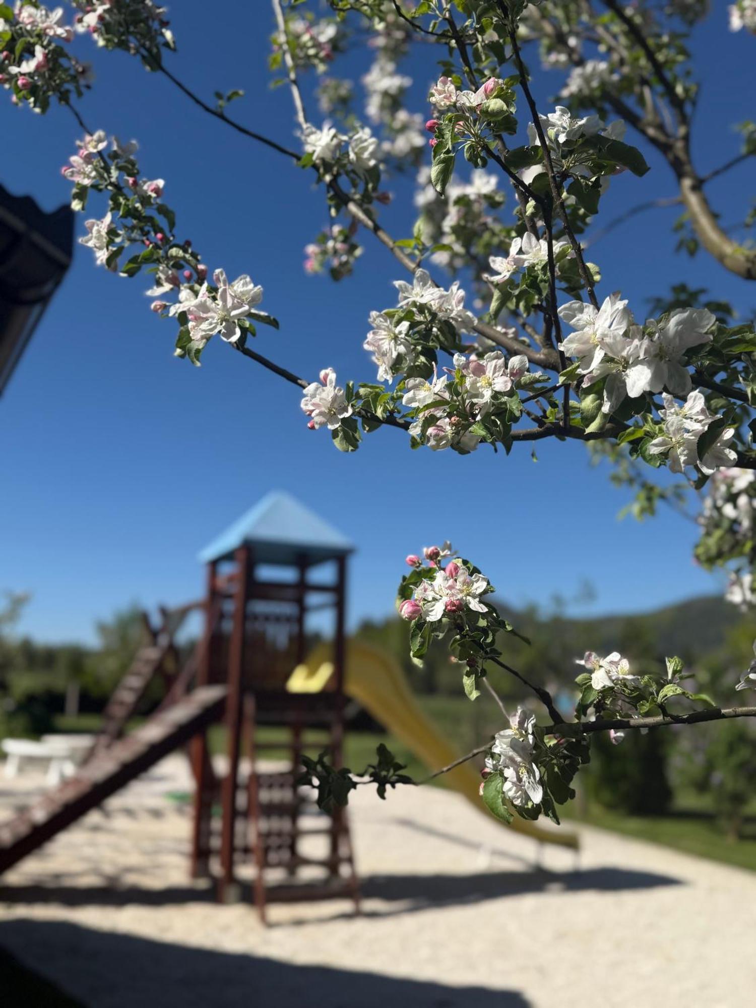 Plitvice Pension Perisic Korenica Zewnętrze zdjęcie